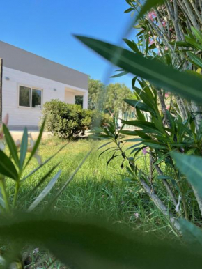 Camping Carratois